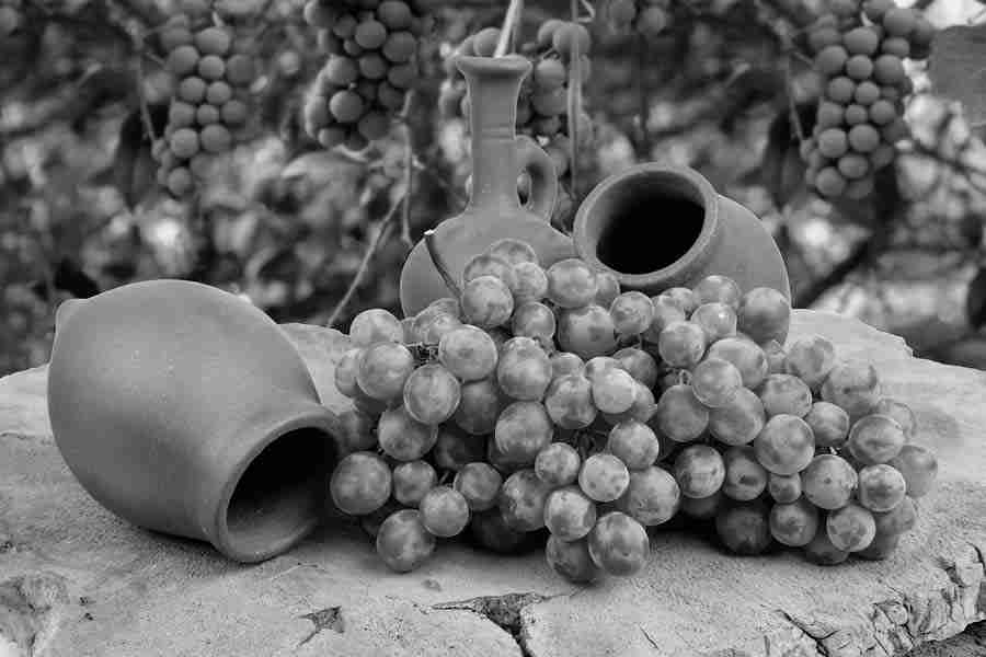 Wine crisis, a walk through history