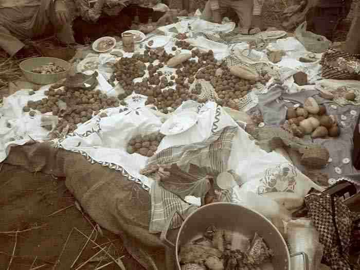 comidas en el campo canarias fotos antiguas
